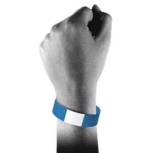 prices-standard-wristband