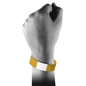 prices-gold-wristband